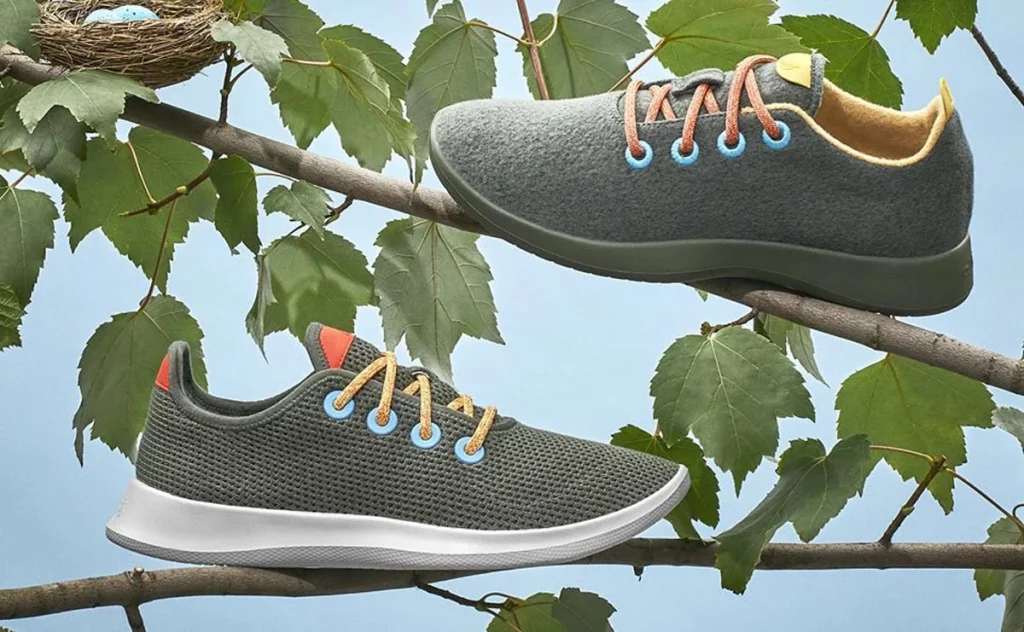 All Bird Sneakers