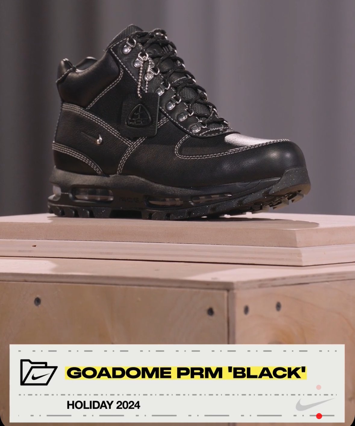 Nike Goadome PRM Black - in hand