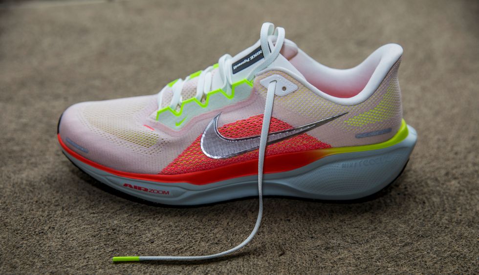 Nike 41 Pegasus detail